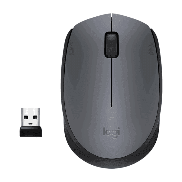 Mouse Logitech M170
