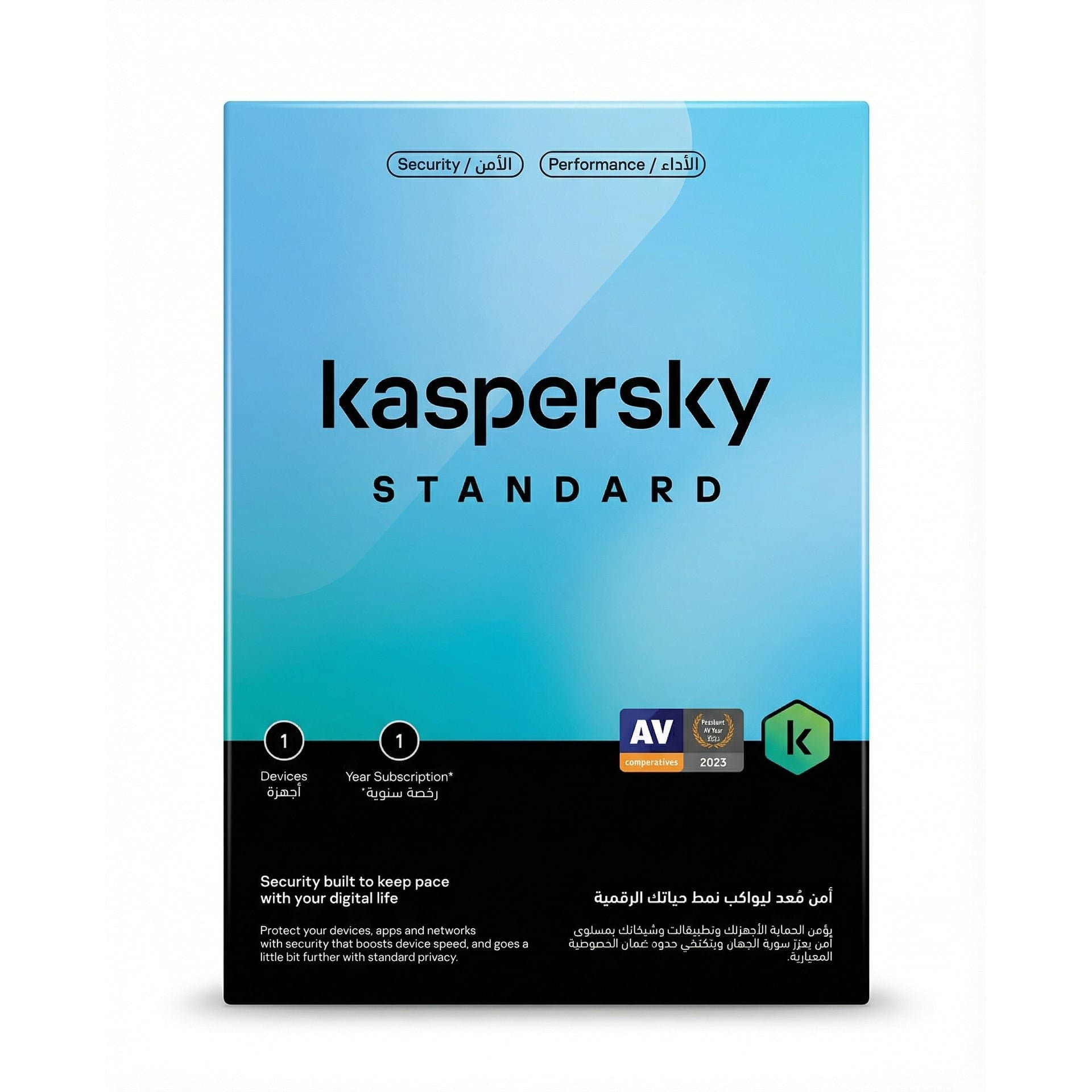 00419 antivirus Kaspersky Standard